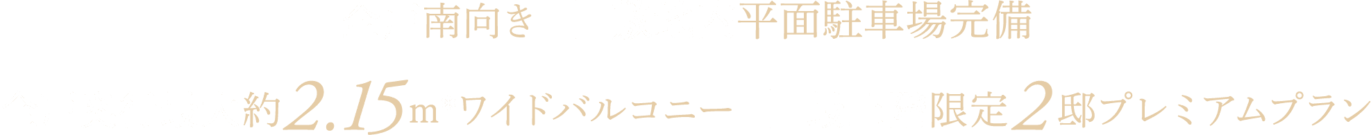 全戸南向き 敷地内平面駐車場完備 全戸奥行最大約2.15ｍ＊ワイドバルコニー 最上階限定2邸プレミアムプラン