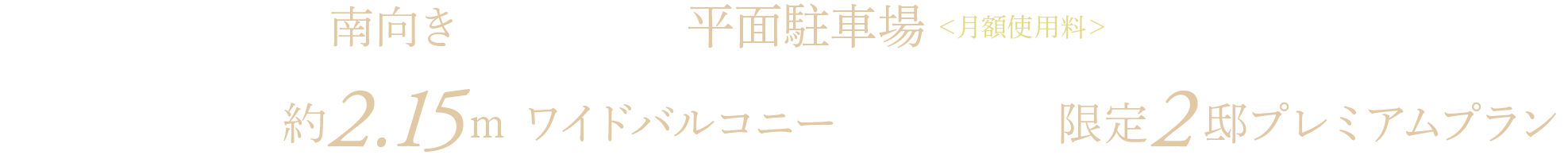 全戸南向き 敷地内平面駐車場 月額使用料1,000円〜 全戸奥行最大約2.15ｍ＊ワイドバルコニー 最上階限定2邸プレミアムプラン