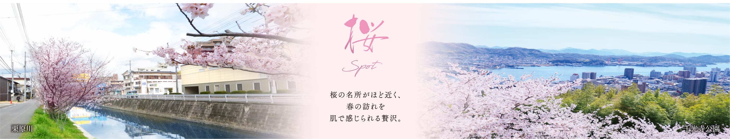 桜Spot 桜の名所がほど近く、春の訪れを肌で感じられる贅沢。